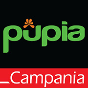Youtube Pupia Campania
