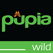 Youtube Pupia Wild