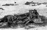 massacro di Wounded Knee 