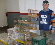 Saverio Mazzarella con i cardellini sequestrati