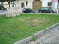 l'area di Piazza Statuto dove era collocata la palma