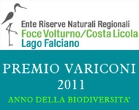 Premio Variconi 