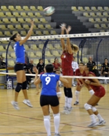 New Volley 
