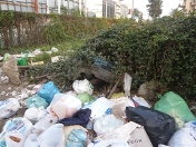 rifiuti in Viale Olimpico