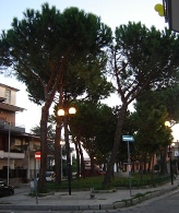 Piazza Augusto