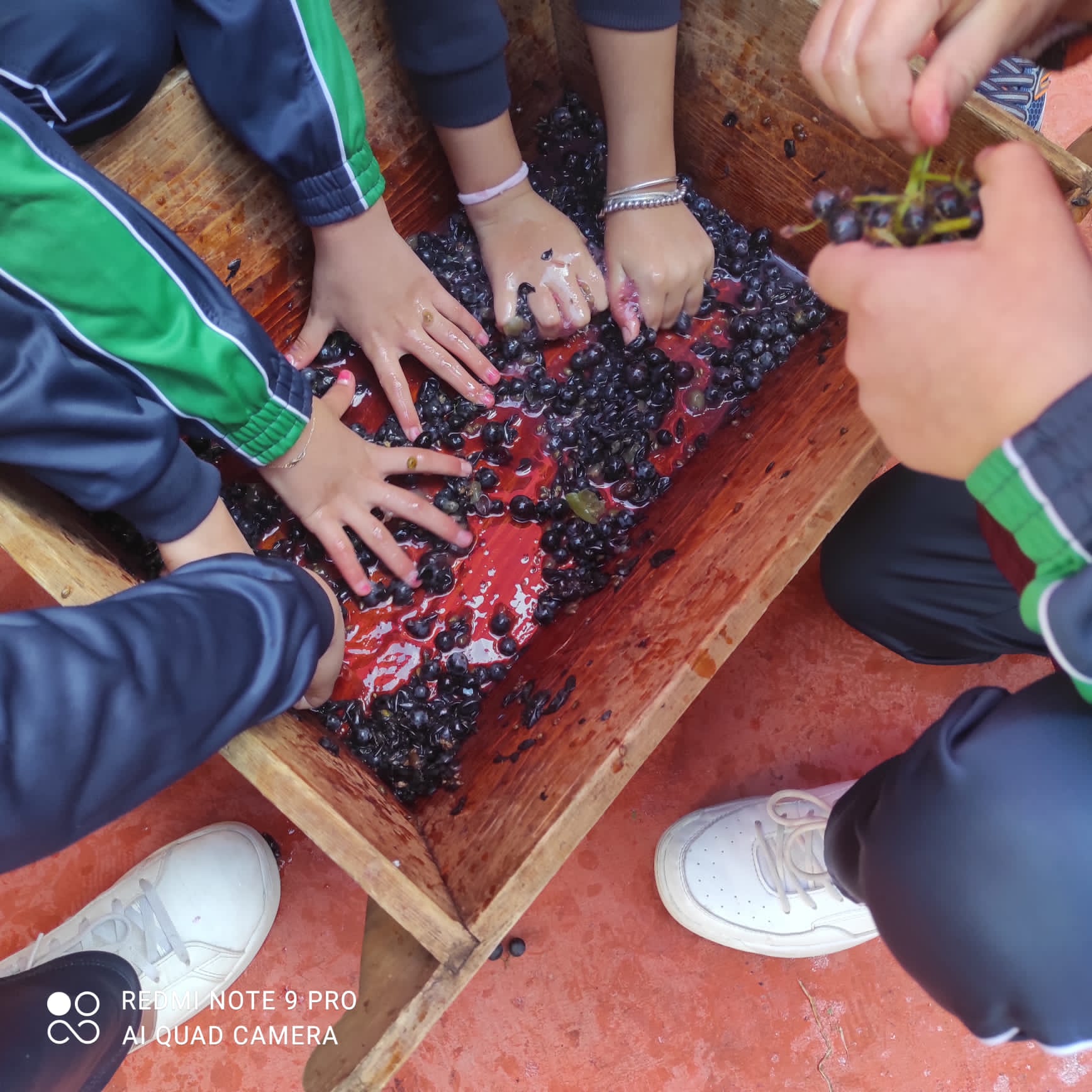 casaluce peter pan vendemmia 2021 (1)