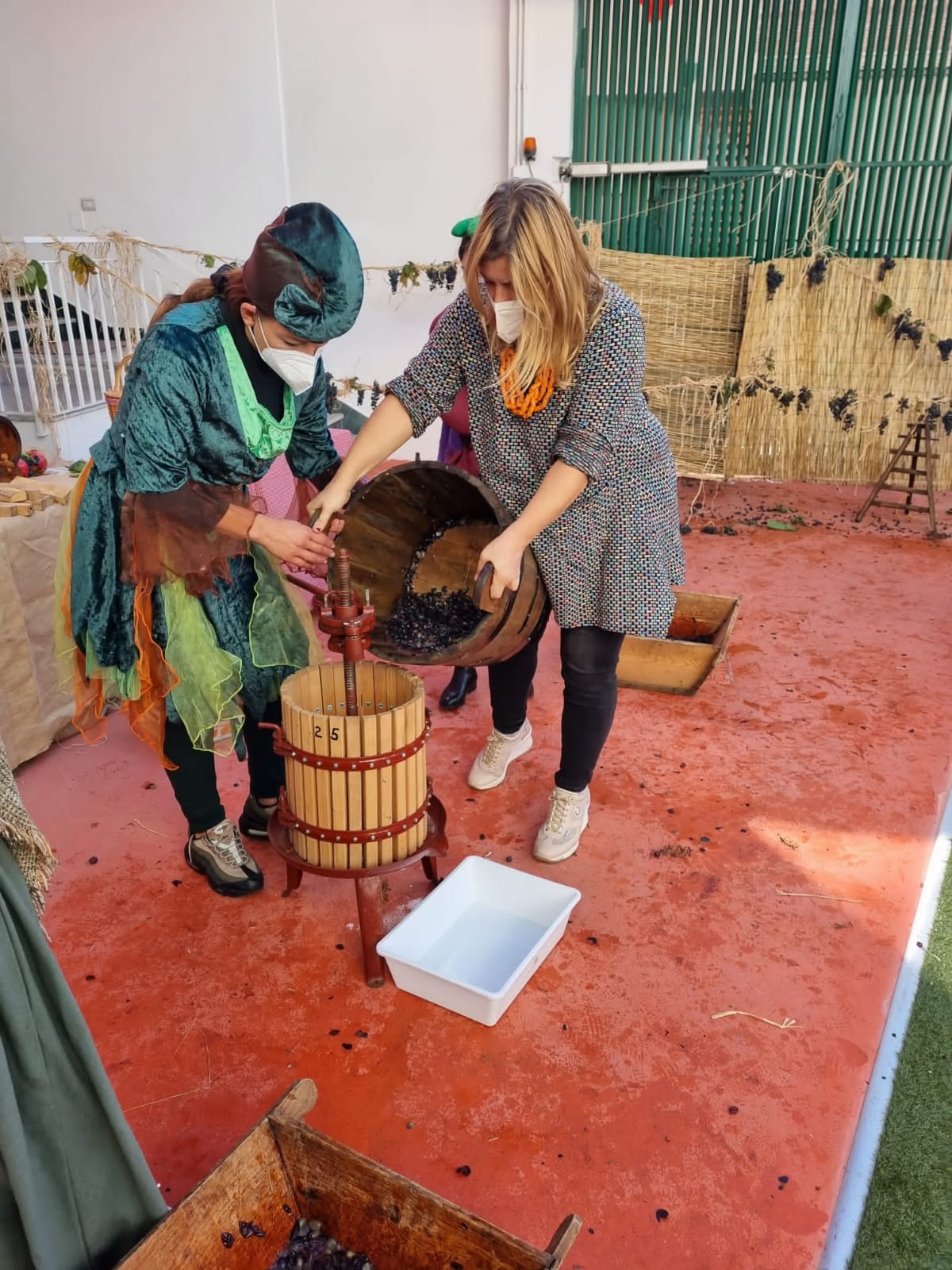 casaluce peter pan vendemmia 2021 (11)