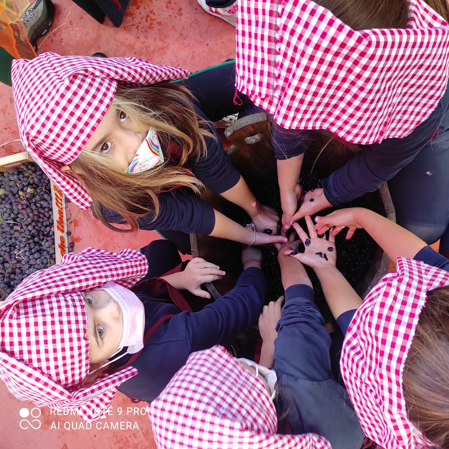 casaluce peter pan vendemmia 2021 (12)