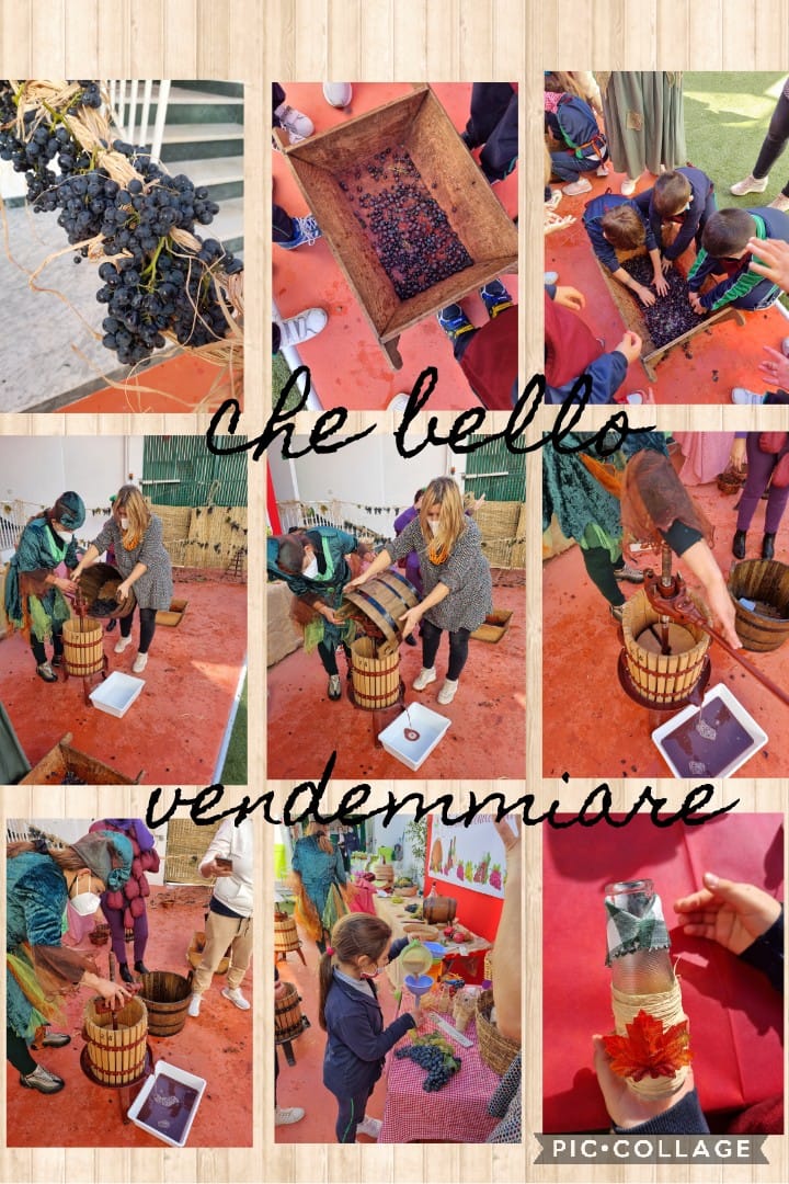 casaluce peter pan vendemmia 2021 (13)