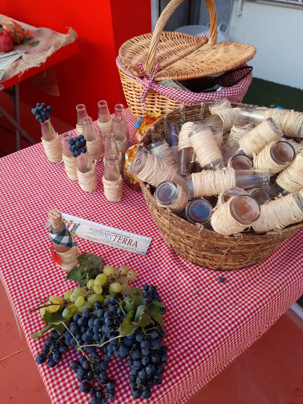 casaluce peter pan vendemmia 2021 (14)