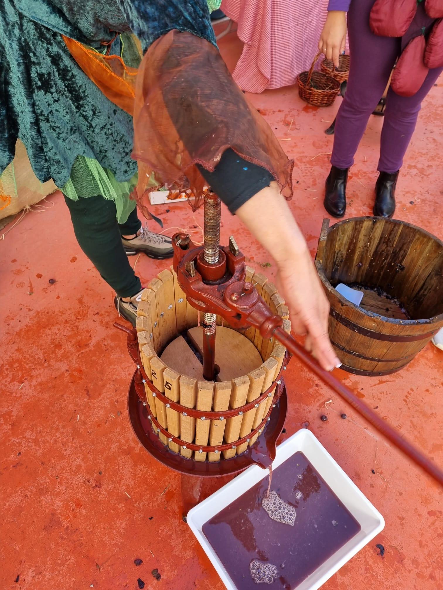 casaluce peter pan vendemmia 2021 (4)