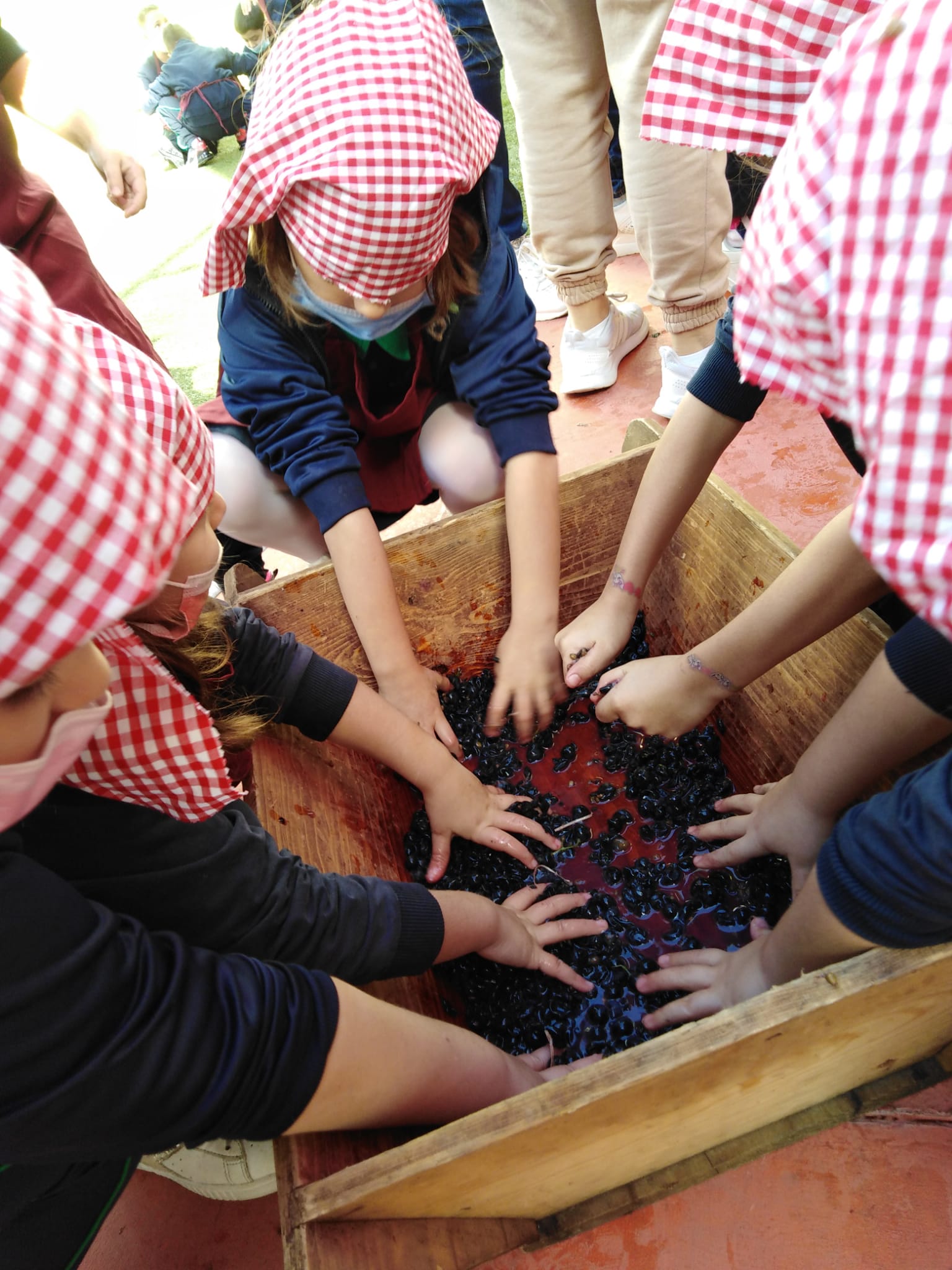 casaluce peter pan vendemmia 2021 (6)