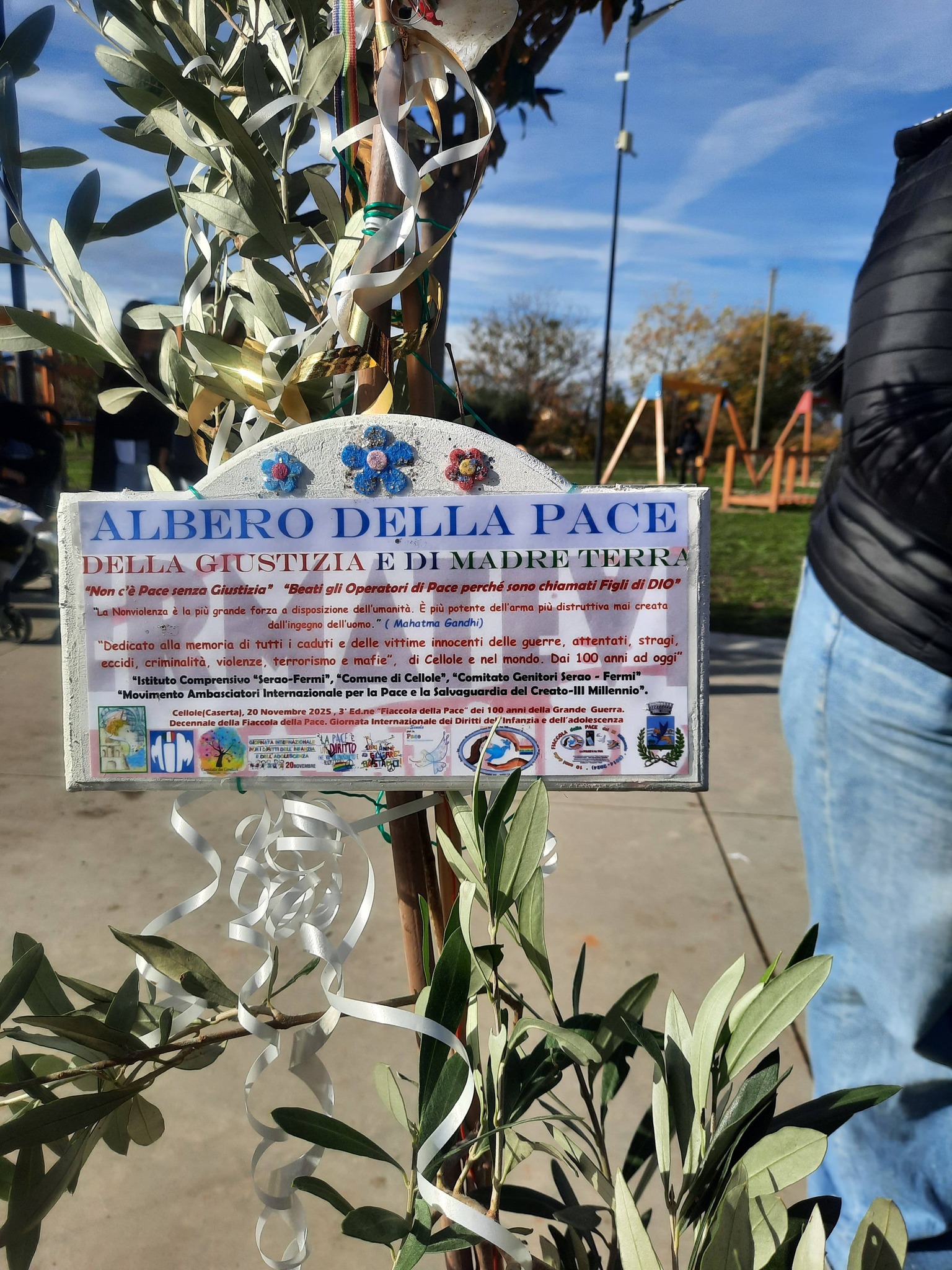 cellole pace 2025 (4)
