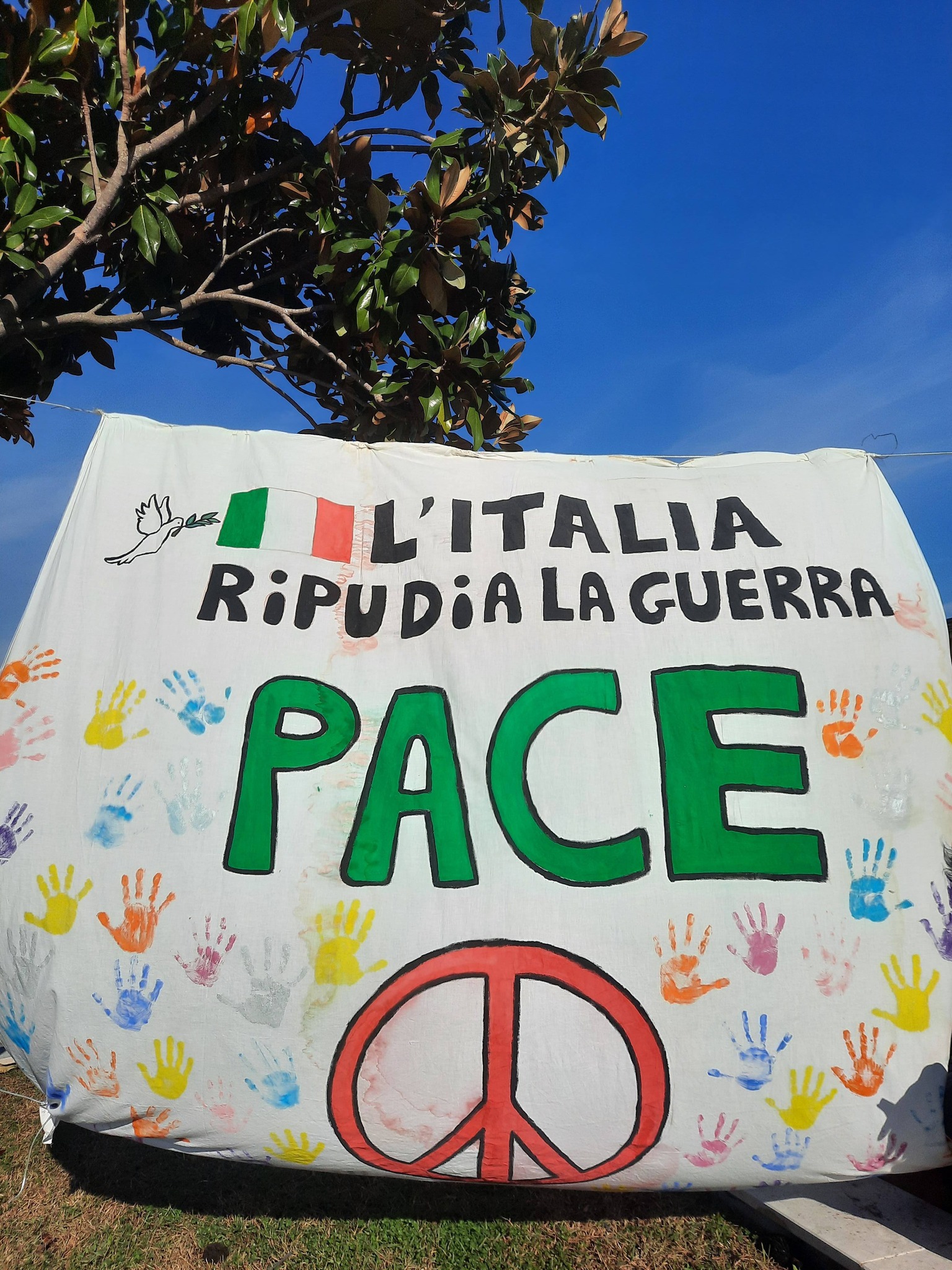 cellole pace 2025 (5)