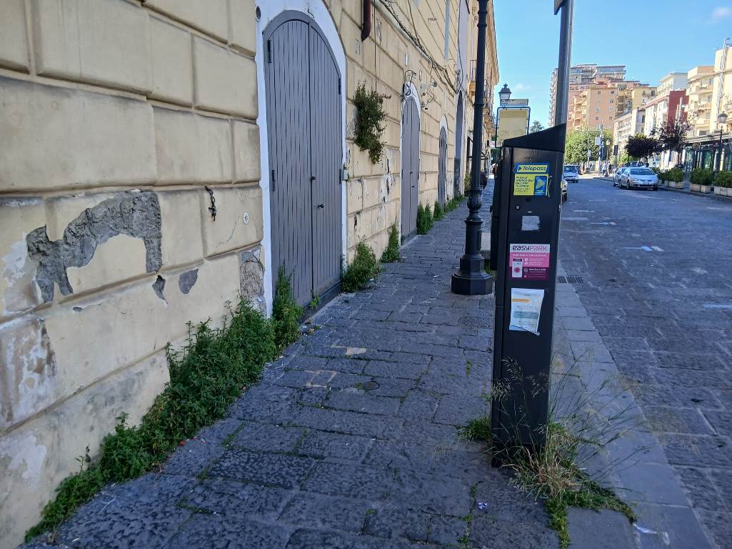 annunziata (3)