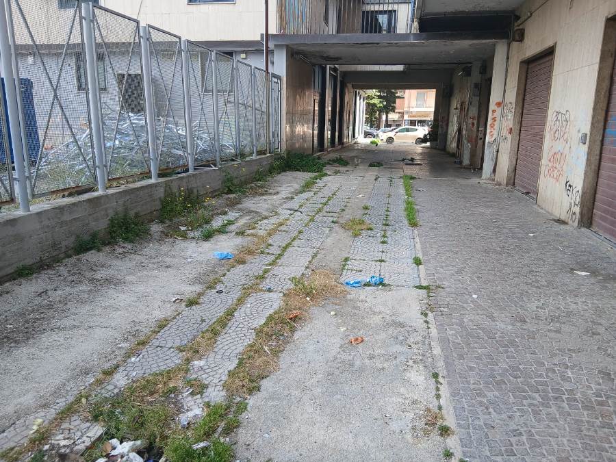 parco coppola degrado (21)