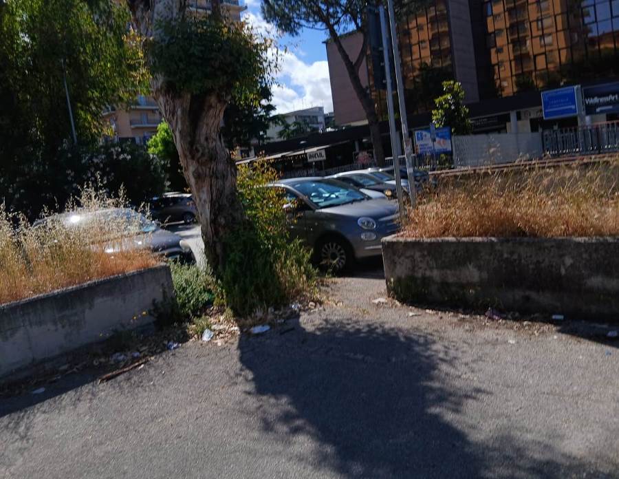 parco coppola degrado (3)