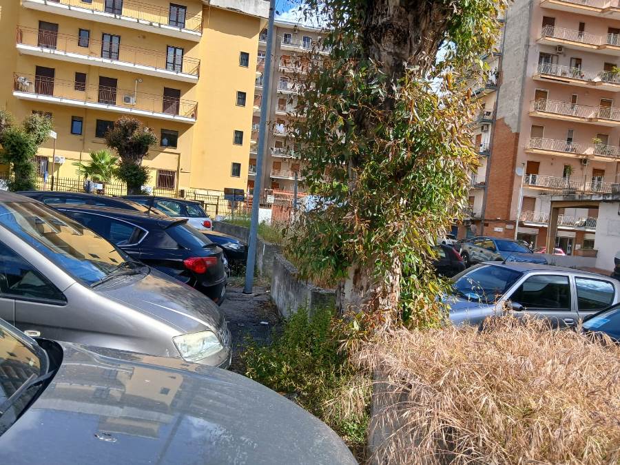 parco coppola degrado (34)