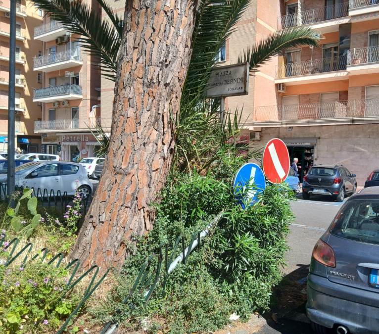 parco coppola degrado (6)