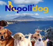 Napoli dog
