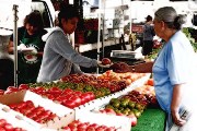 Farmer’s Market 