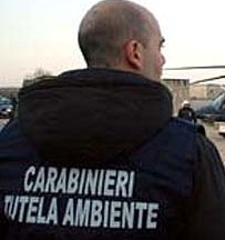 Carabinieri del Nucleo Operativo Ecologico