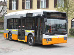 Bus