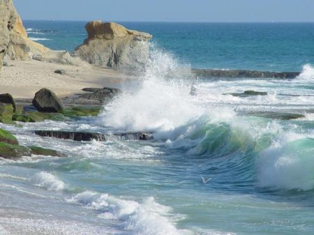 mare agitato (foto Internet)