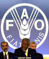 vertice Fao 2008