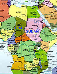 Il Ciad confina a nord con la Libia, ad est col Sudan, a sudovest col Camerun e la Nigeria, ad ovest col Niger ed a sud con la Repubblica Centrafricana 