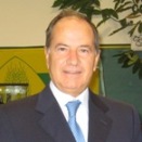 Domenico Zinzi