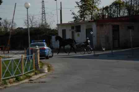 il blitz della polizia di Aversa al Cirigliano