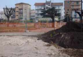 Alberi potati al Parco Pozzi