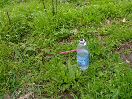 una bottiglia di plastica usata per fumare crack