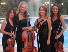 Muse String Quartet 