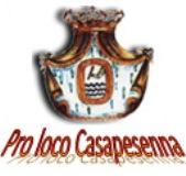 Pro Loco di Casapesenna 