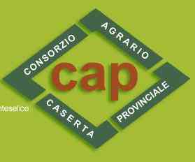 consorzio agrario