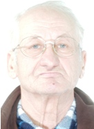 Raffaele Pianese