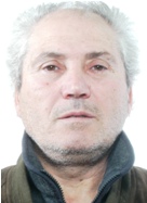 Guido Verde