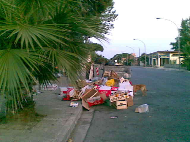 rifiuti su Viale Granacci