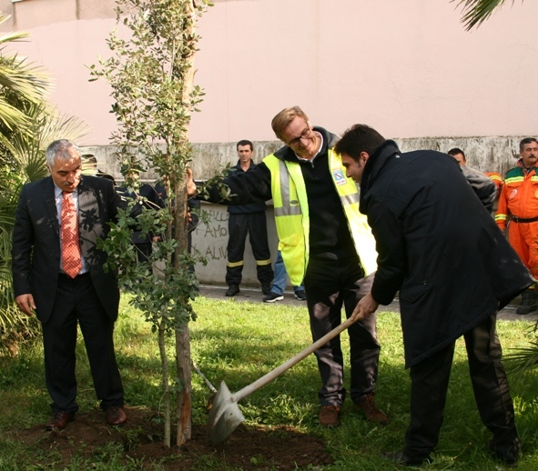 festa dell'albero