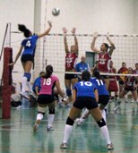 Il NEw Volley in azione