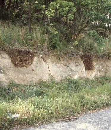 Il fossile romano sul Monte Massico