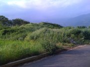 I rifiuti ricoperti dal terreno