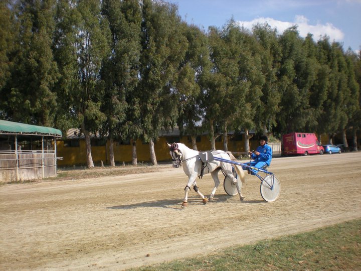 Pasquale Sorvillo