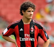 Pato