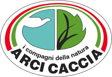 Arcicaccia