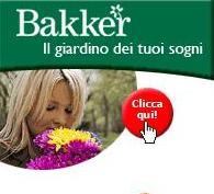 Bakker