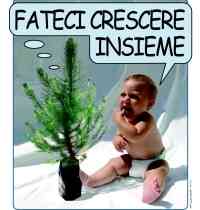 un albero per ogni neonato