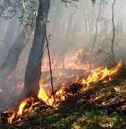 Ancora morte provocata dagli incendi